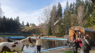 Chodník Českom (2/10)