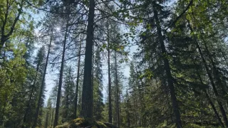 Divoká Škandinávia (2/3)