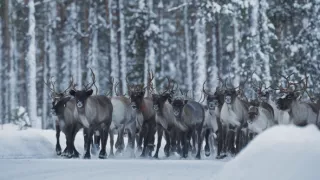 Divoká Škandinávia (2/3)