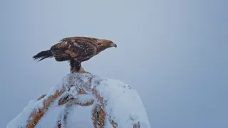 Divoká Škandinávia (2/3)