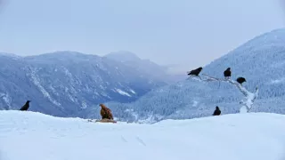 Divoká Škandinávia (2/3)