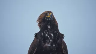 Divoká Škandinávia (2/3)