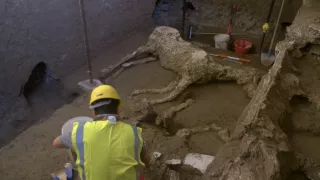 Nové objavy v Pompejach