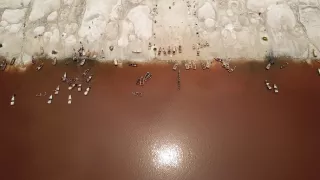 Po jednej stope do Afriky (14/17)