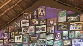 Na cestě po Cejlonu