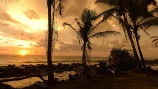 Na cestě po Cejlonu