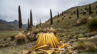 Na ceste po strednom Peru