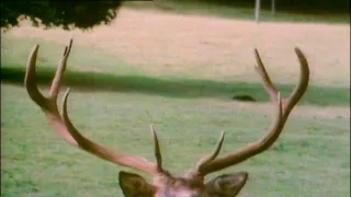 Tajemství zvířecího těla