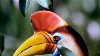 Tajemství zvířecího těla