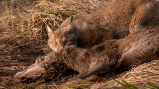 Kouzelné hory v srdci Německa