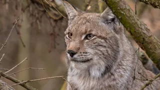 Kouzelné hory v srdci Německa