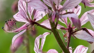 Kouzelné hory v srdci Německa