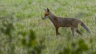 Kouzelné hory v srdci Německa