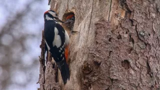 Kouzelné hory v srdci Německa