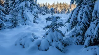 Kouzelné hory v srdci Německa