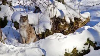 Kouzelné hory v srdci Německa