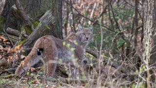 Kouzelné hory v srdci Německa
