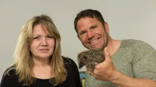 Stretnutie s ježkom