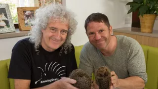 Stretnutie s ježkom