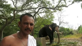 Kamera na cestách: Srí Lanka, drahocenný ostrov