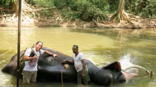 Kamera na cestách: Srí Lanka, drahocenný ostrov