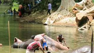 Kamera na cestách: Srí Lanka, drahocenný ostrov