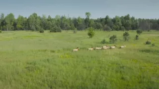 Černobyľ: Nové svedectvá (1/2)