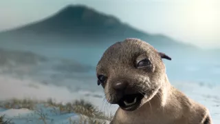 Zázračná planéta: Špióni v prírode (3/4)