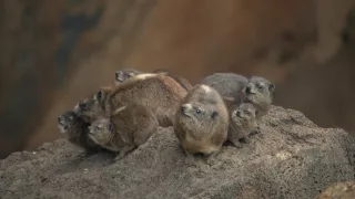 Neznámy kút Afriky - Mount Suswa