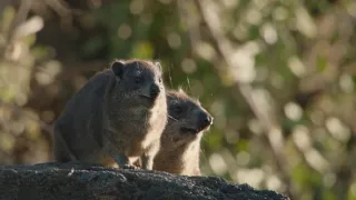 Neznámy kút Afriky - Mount Suswa