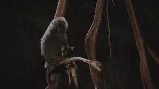 Neznámy kút Afriky - Mount Suswa