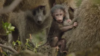 Neznámy kút Afriky - Mount Suswa