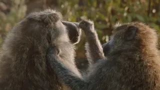 Neznámy kút Afriky - Mount Suswa