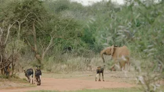 Neznámy kút Afriky - Mount Suswa