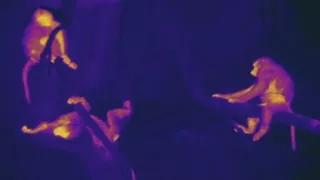 Neznámy kút Afriky - Mount Suswa