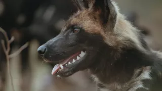 Neznámy kút Afriky - Mount Suswa