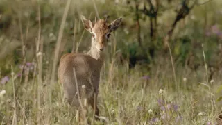 Neznámy kút Afriky - Mount Suswa