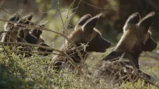 Neznámy kút Afriky - Mount Suswa