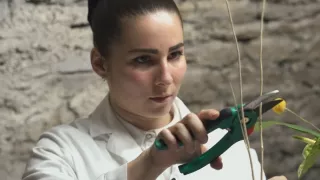 Diplom pre majordóma