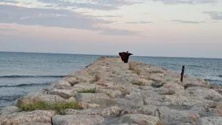 Mária Magdaléna - apoštolka apoštolov