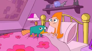Phineas & Ferb (1/26)