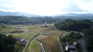 Království divočiny: Velemlok japonský, Japonsko