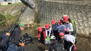 Království divočiny: Velemlok japonský, Japonsko