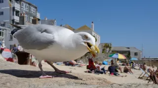 Zvierací Einsteinovia (5/6)