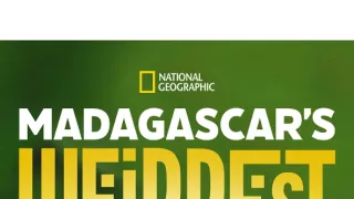 Zázraky divočiny: Madagaskar (1)