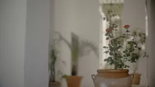 Tajemný Goya: Spánek rozumu