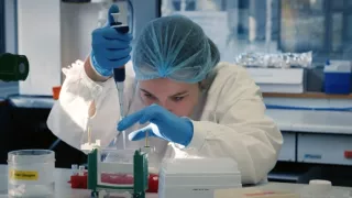 Superschopnosti medveďov