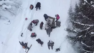 Superschopnosti medveďov