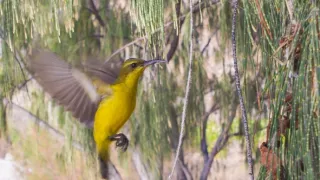 Život na útese (3)