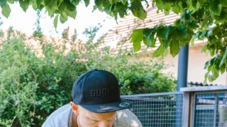 Ferdinandove záhrady III (5/8)